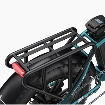 Elektrisches Klapp-Fatbike Engwe L20 Boost Grün