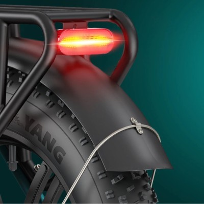 Elektrisches Klapp-Fatbike Engwe L20 Boost Grün