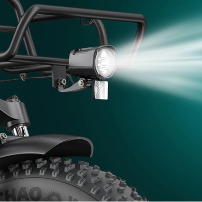 Bici Elettrica Pieghevole Fat Bike Engwe L20 Boost Verde